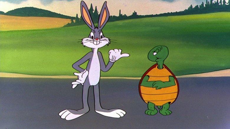 Rabbit Transit image