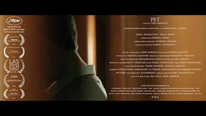 Pet image