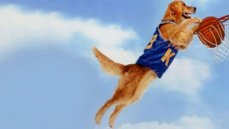 Air Bud image