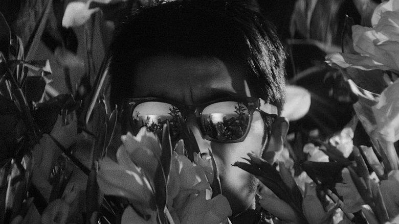 High and Low image