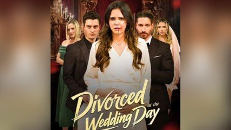 Divorced at the Wedding Day image