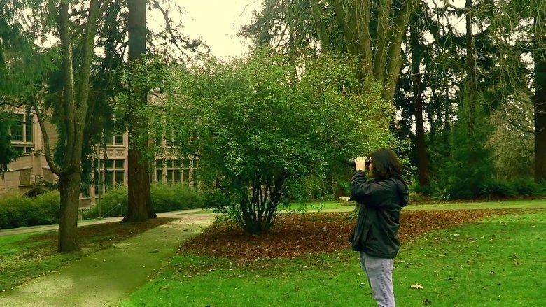 A Man Finds Binoculars image