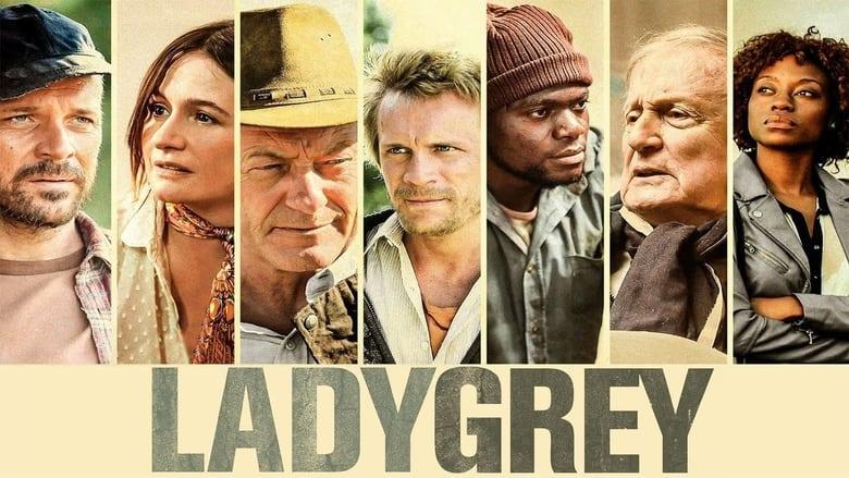 Ladygrey image