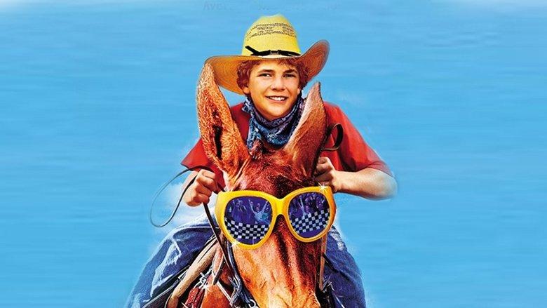 Tommy and the Cool Mule image