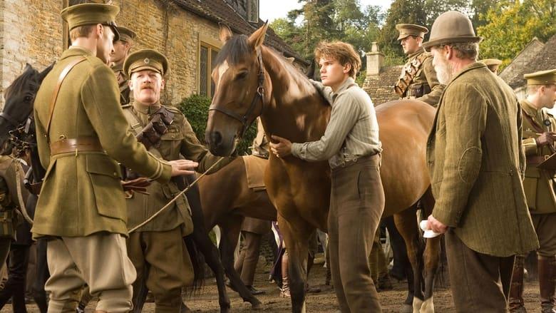 War Horse image