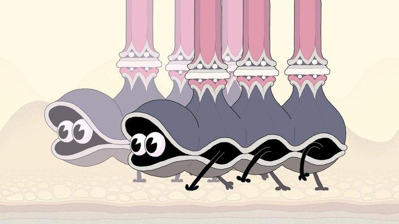 Double King image