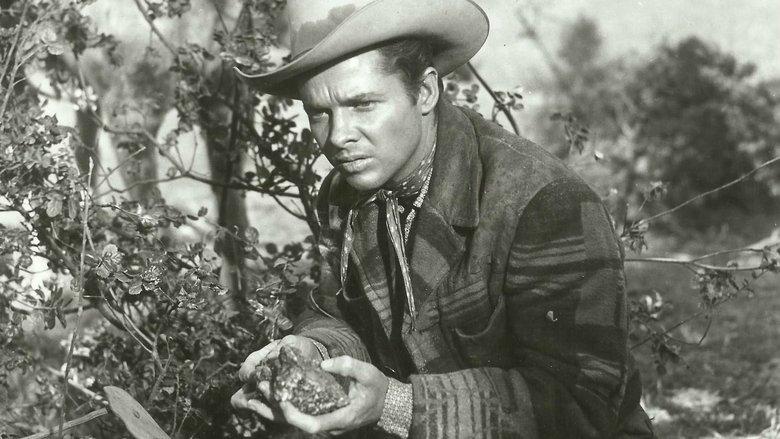 Tumbleweed image