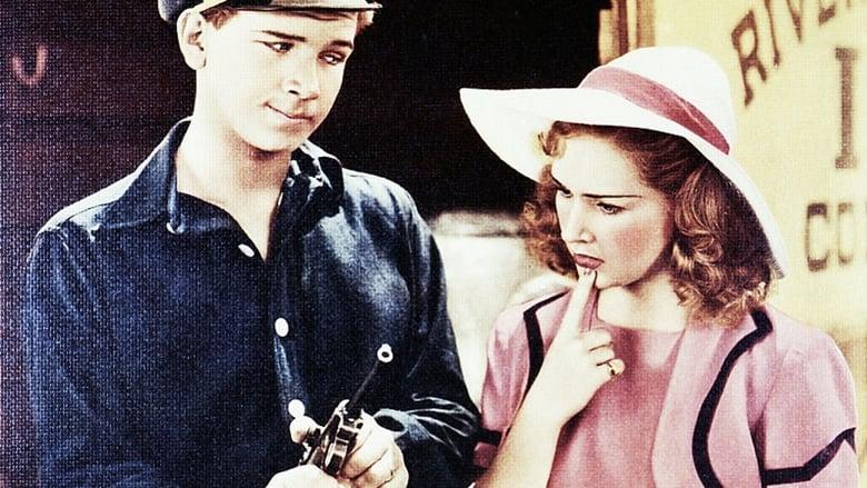 Nancy Drew and the Hidden Staircase image