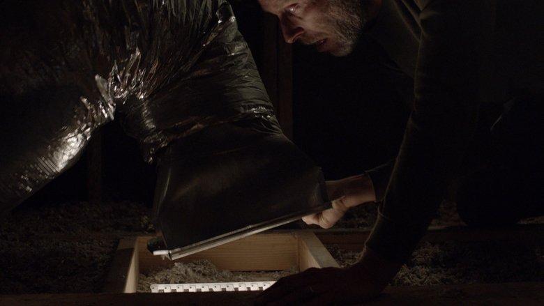 Crawlspace image