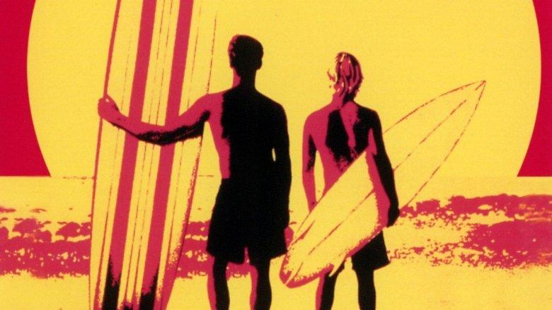 The Endless Summer II image