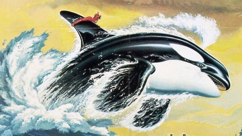 Namu, the Killer Whale image