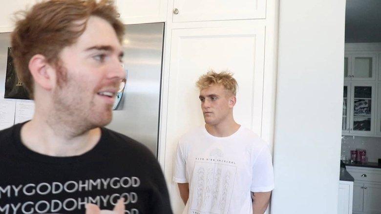The Mind of Jake Paul image