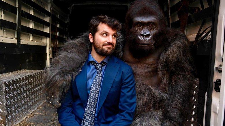 Beware the Gorilla image