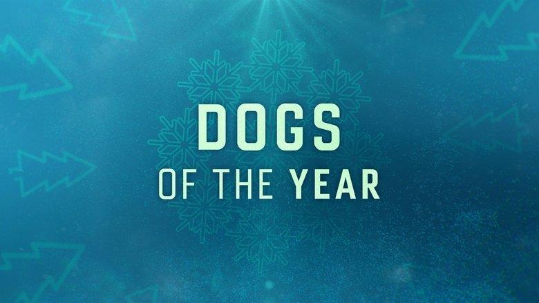 Dogs of the Year image