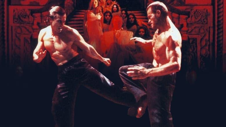 Bloodsport: The Dark Kumite image