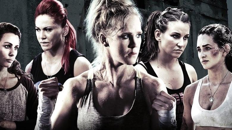 Fight Valley image