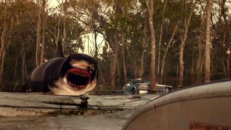 Trailer Park Shark image