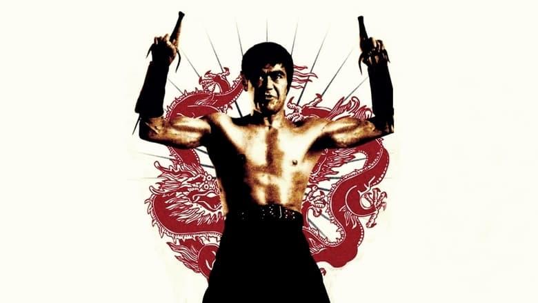The Street Fighter image