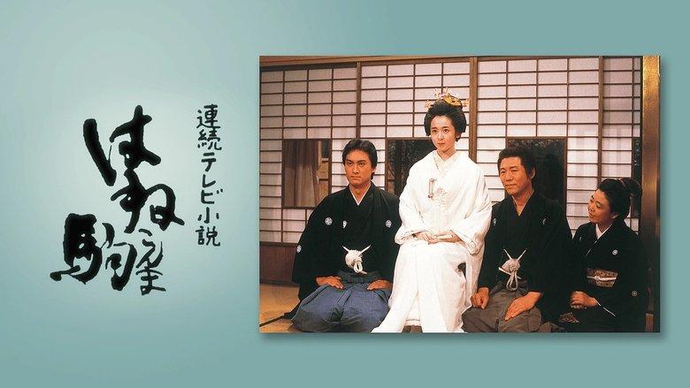 Hanekonma image