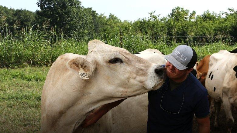 The Hatcher Family Dairy image
