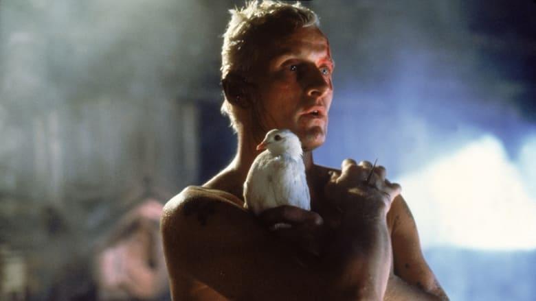 The Blade Runner Phenomenon image