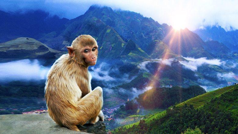 India's Lost Worlds image
