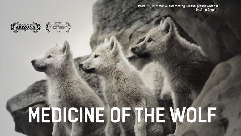 Medicine of the Wolf image