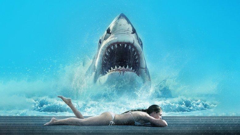 Shark Warning image