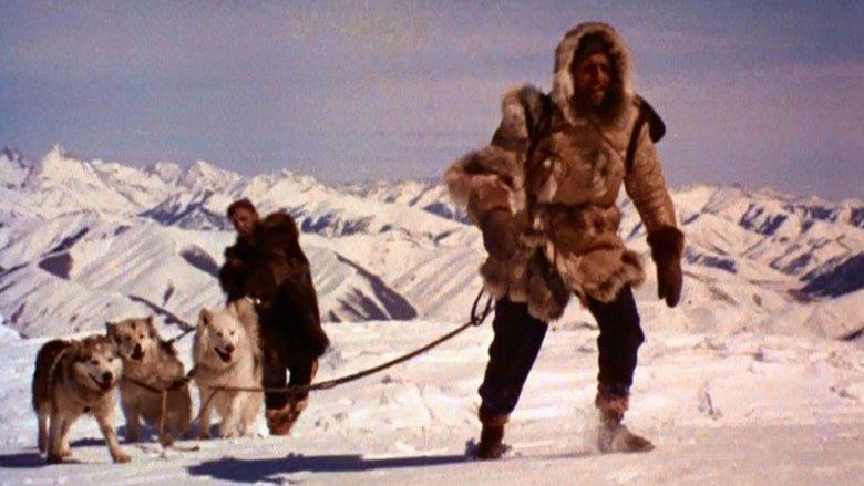 The Wild North image