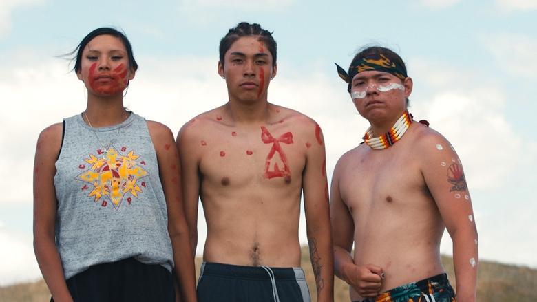 Lakota Nation vs. United States image