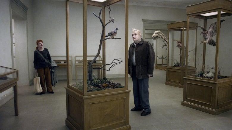 A Pigeon Sat on a Branch Reflecting on Existence image