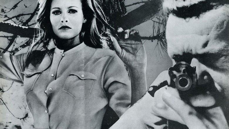Nightmare in the Sun image
