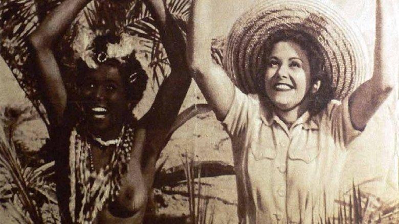 Quax in Afrika image