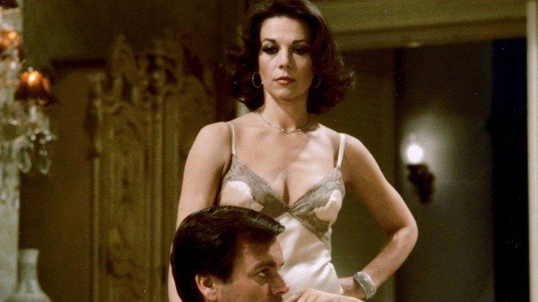 Cat on a Hot Tin Roof image