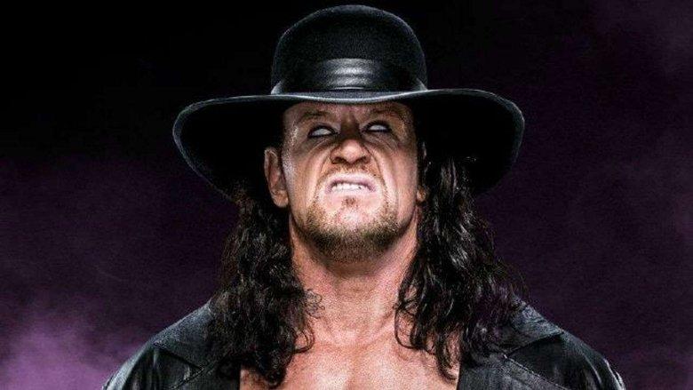 WWE: Undertaker 15-0 image