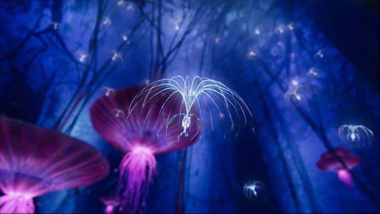 Avatar: Creating the World of Pandora image