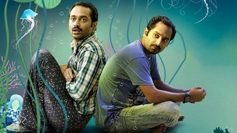Natholi Oru Cheriya Meenalla image