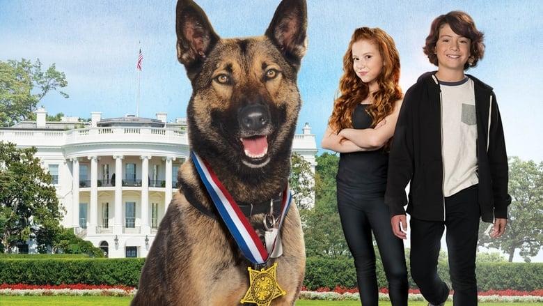 Max 2: White House Hero image