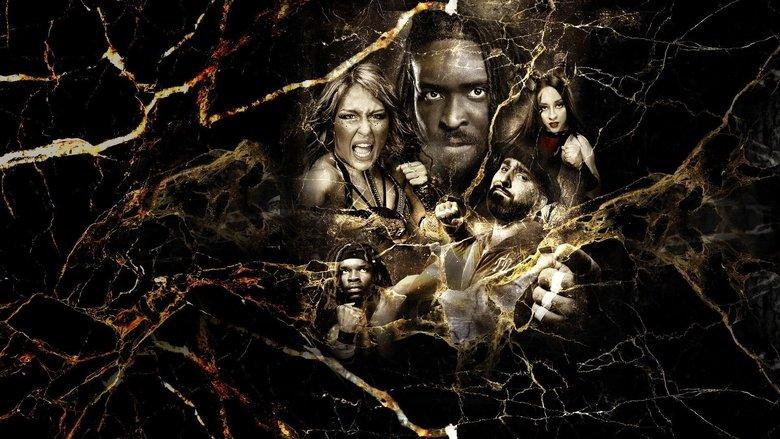 NXT Vengeance Day 2025 image