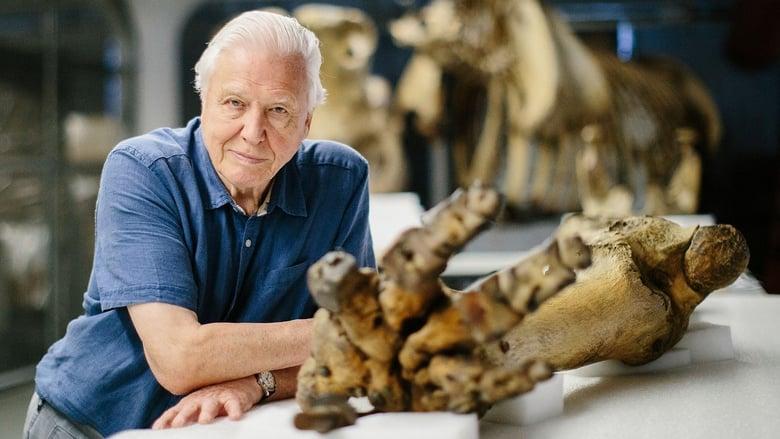 Attenborough and the Giant Elephant image