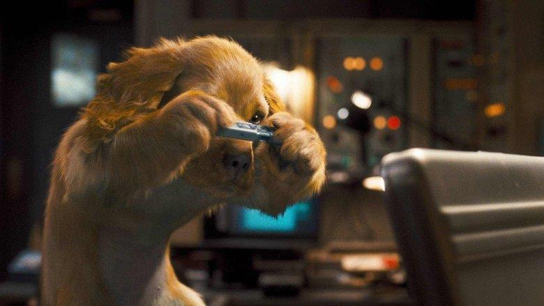 Cats & Dogs: The Revenge of Kitty Galore image