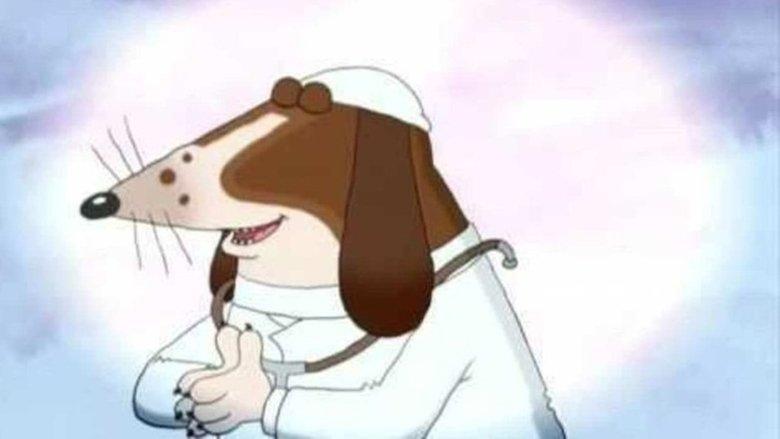 Dr. Dog image