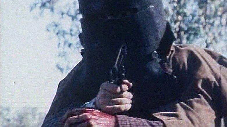 The Last Outlaw image