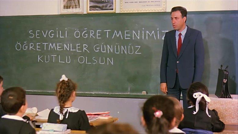 The Teacher image