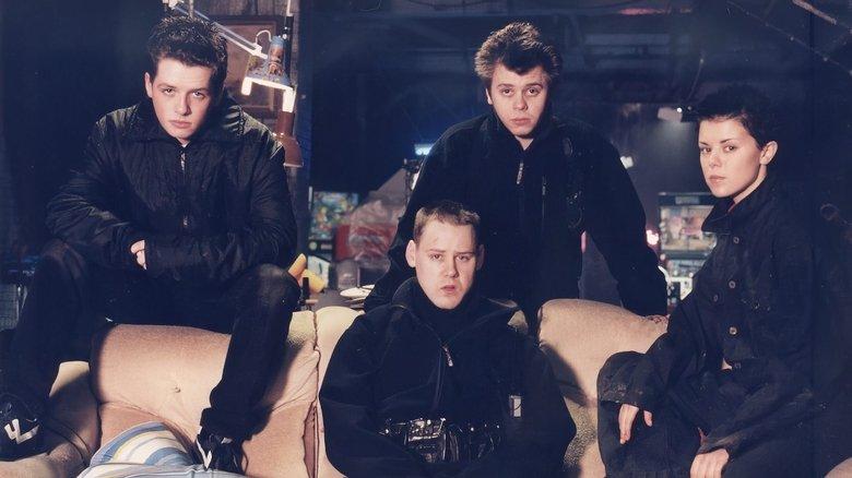 Straydogs image