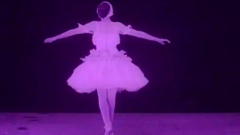 The Dying Swan image