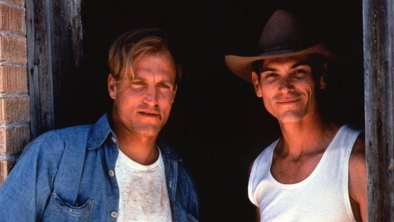 The Hi-Lo Country image