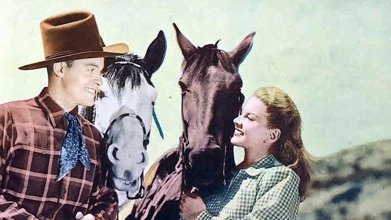 Swing in the Saddle image