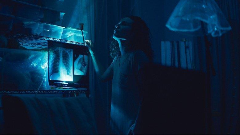 The Fishbowl image