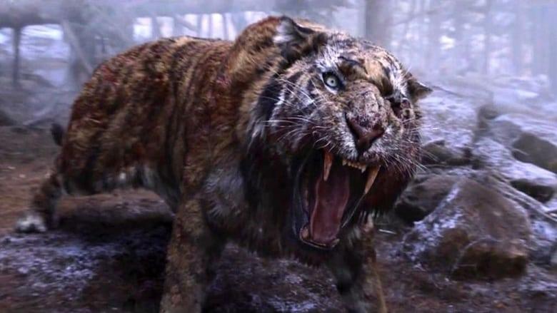 The Tiger image